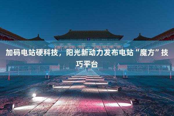 加码电站硬科技，阳光新动力发布电站“魔方”技巧平台