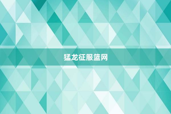 猛龙征服篮网
