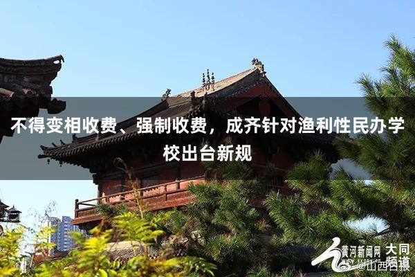 不得变相收费、强制收费，成齐针对渔利性民办学校出台新规