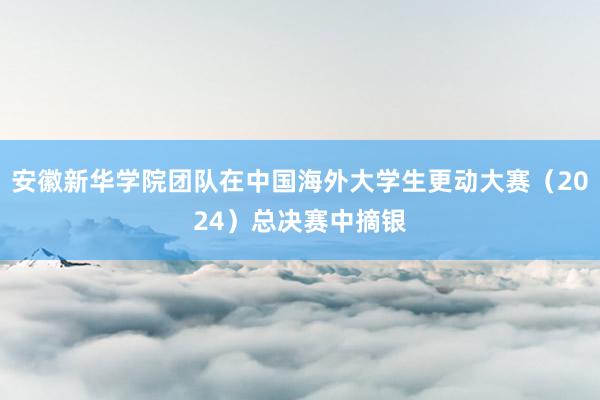 安徽新华学院团队在中国海外大学生更动大赛（2024）总决赛中摘银