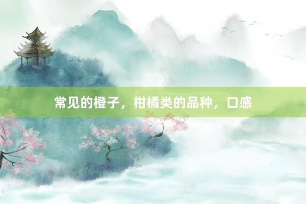 常见的橙子，柑橘类的品种，口感