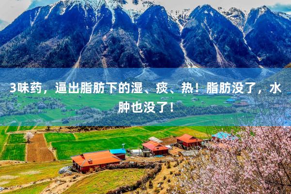 3味药，逼出脂肪下的湿、痰、热！脂肪没了，水肿也没了！