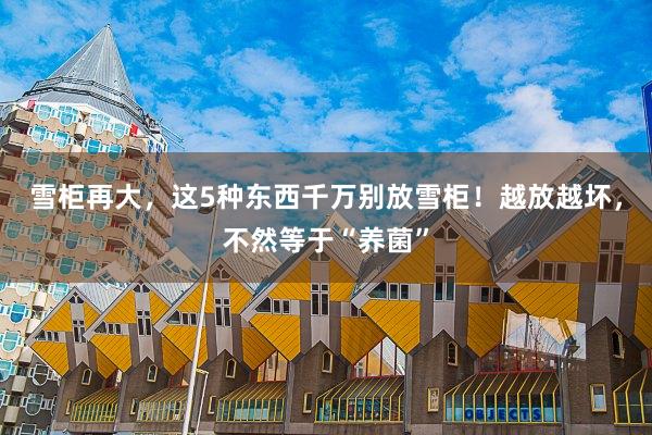 雪柜再大，这5种东西千万别放雪柜！越放越坏，不然等于“养菌”