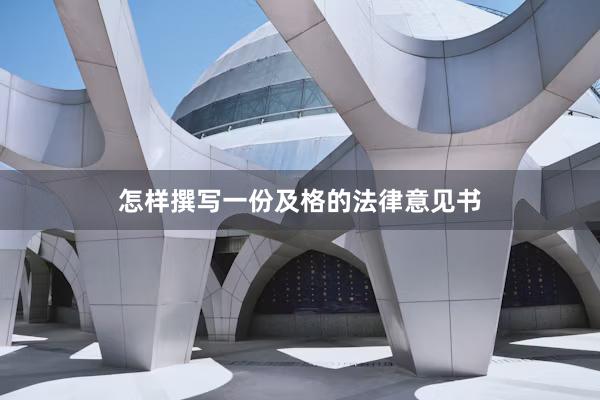 怎样撰写一份及格的法律意见书