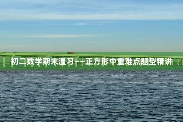 初二数学期末温习——正方形中重难点题型精讲
