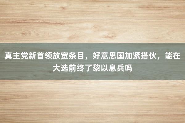 真主党新首领放宽条目，好意思国加紧搭伙，能在大选前终了黎以息兵吗