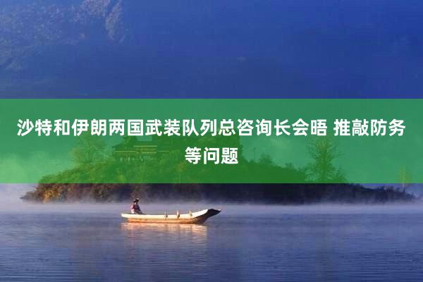 沙特和伊朗两国武装队列总咨询长会晤 推敲防务等问题