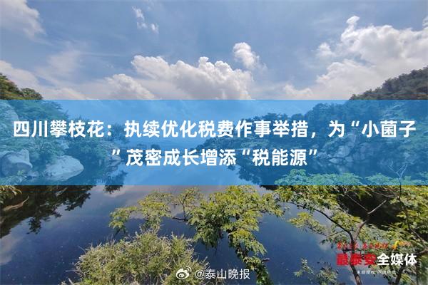 四川攀枝花：执续优化税费作事举措，为“小菌子”茂密成长增添“税能源”