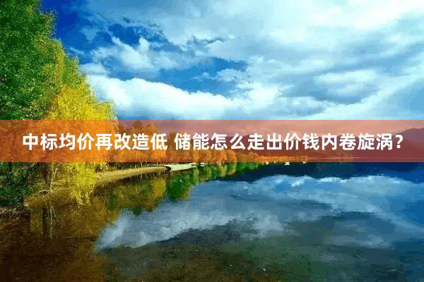 中标均价再改造低 储能怎么走出价钱内卷旋涡？