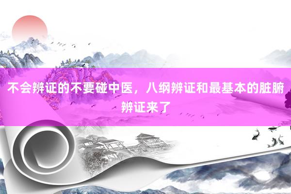 不会辨证的不要碰中医，八纲辨证和最基本的脏腑辨证来了