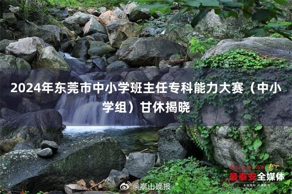 2024年东莞市中小学班主任专科能力大赛（中小学组）甘休揭晓