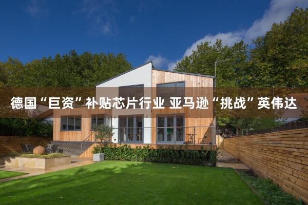 德国“巨资”补贴芯片行业 亚马逊“挑战”英伟达