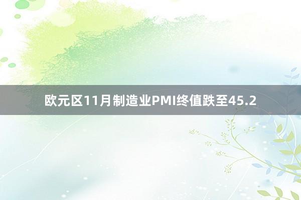 欧元区11月制造业PMI终值跌至45.2