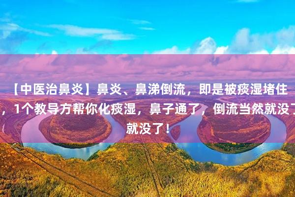 【中医治鼻炎】鼻炎、鼻涕倒流，即是被痰湿堵住了，1个教导方帮你化痰湿，鼻子通了，倒流当然就没了！