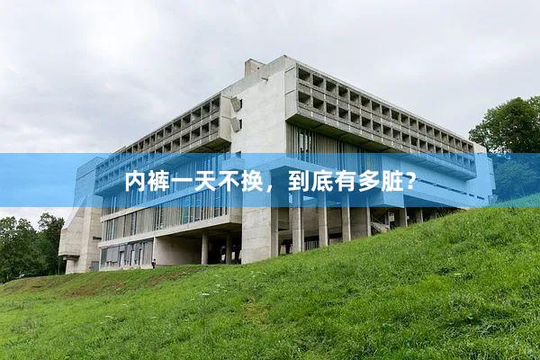 内裤一天不换，到底有多脏？