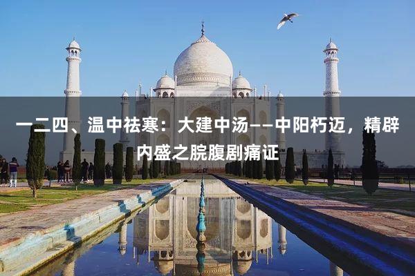 一二四、温中祛寒：大建中汤——中阳朽迈，精辟内盛之脘腹剧痛证