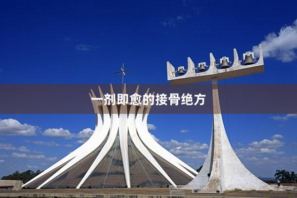 一剂即愈的接骨绝方